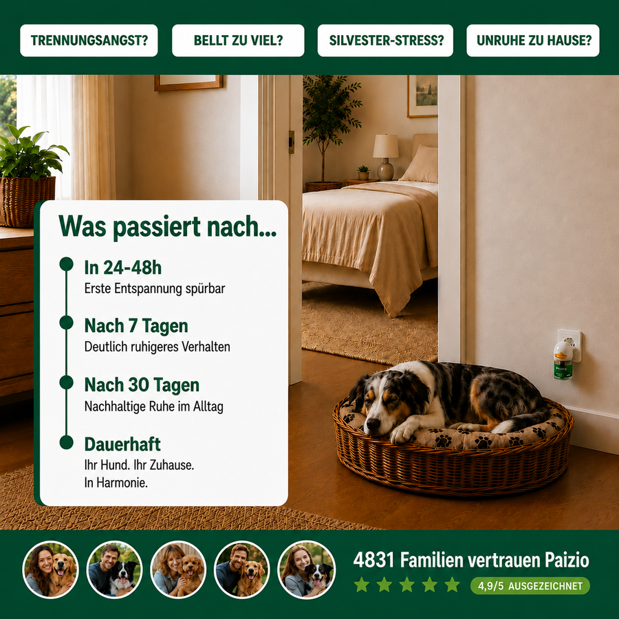 Paizio Hund – Beruhigungs-Diffuser